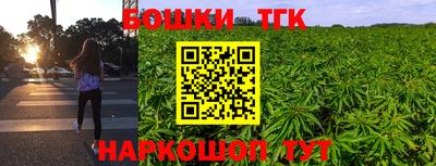a pvp Камышлов