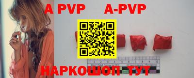 a pvp Камышлов